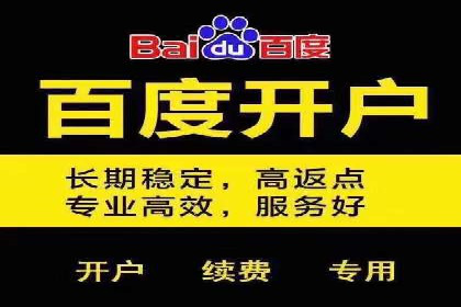 抖音信息流广告的投放策略与成功案例分析